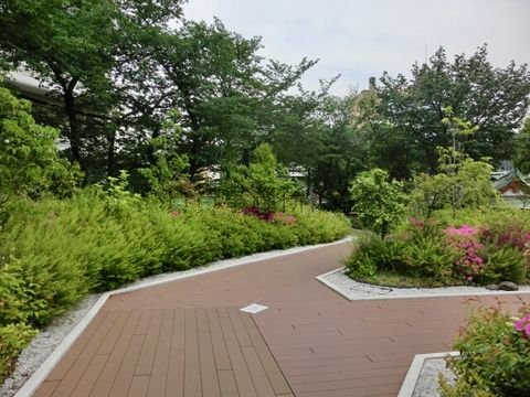 神田明神の敷地内にある屋上庭園です