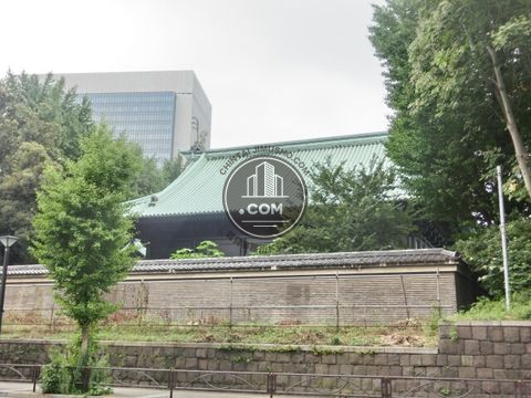 大通り