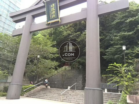 大通り