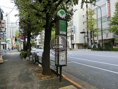 大通り