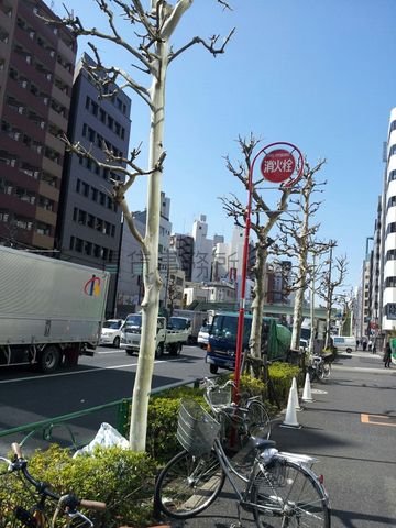 靖国通り