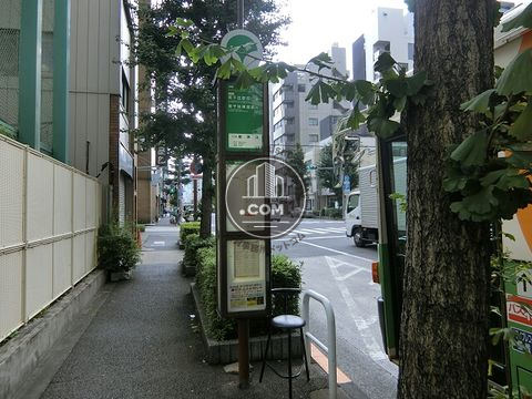 大通り