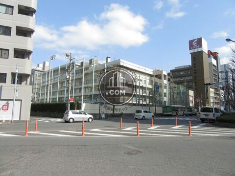 大通り