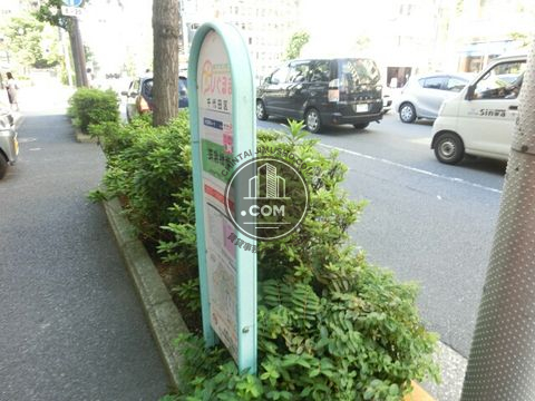 大通り