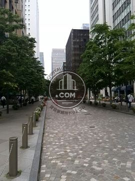 裏路地