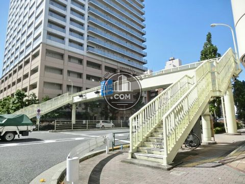 大通り