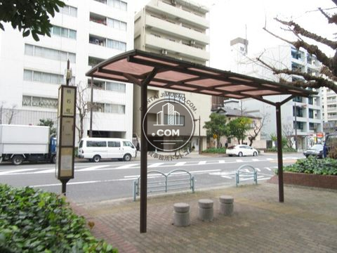 大通り