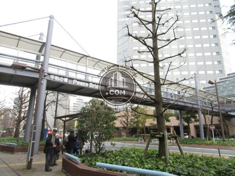 大通り