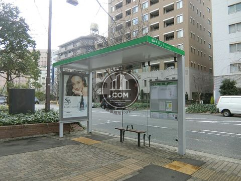 大通り