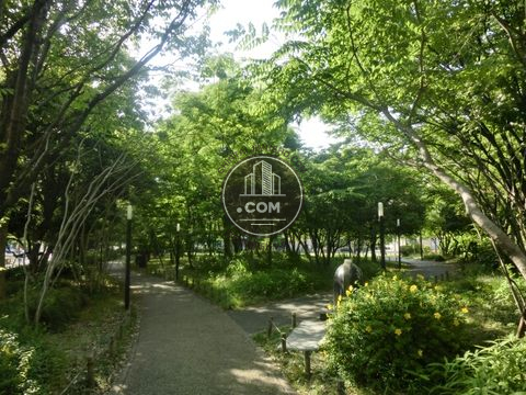 裏路地