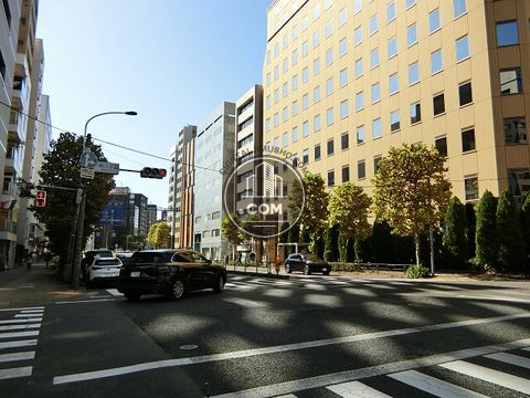 大通り