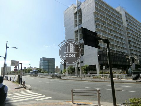 大通り