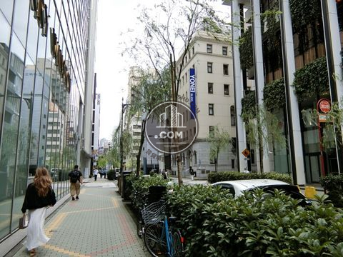 裏路地