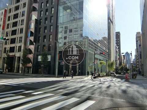大通り