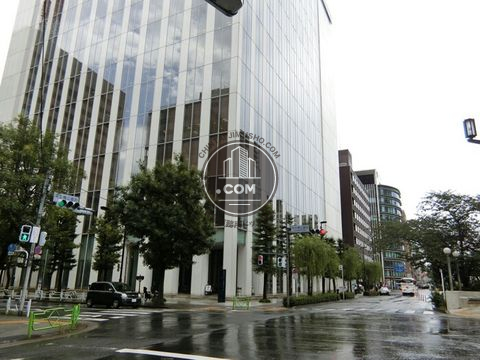大通り