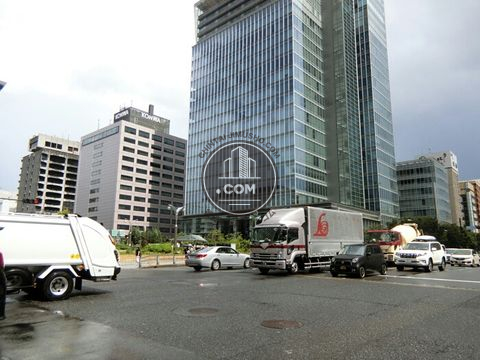 大通り