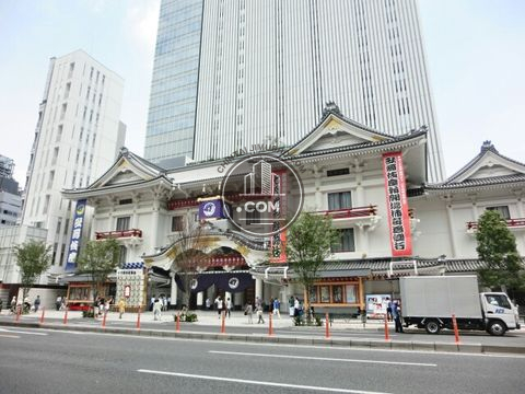 大通り