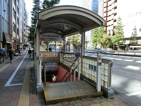 大通り