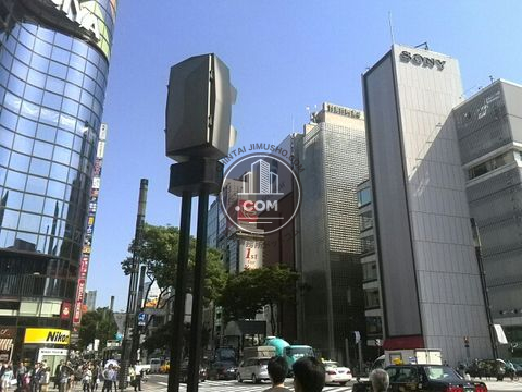 大通り