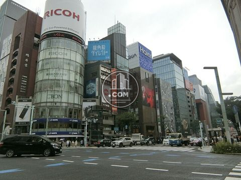 大通り