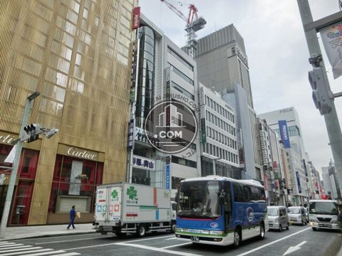 大通り