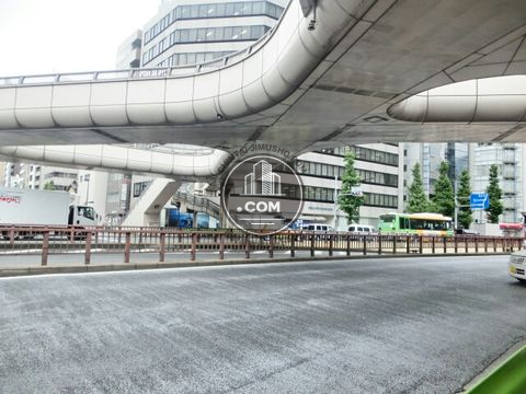 大通り