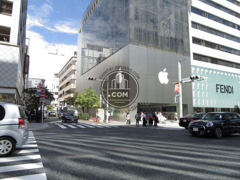 大通り