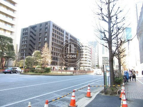 大通り