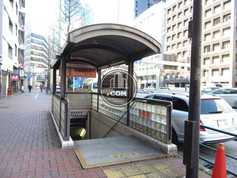 大通り