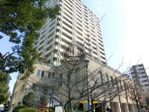 大通り
