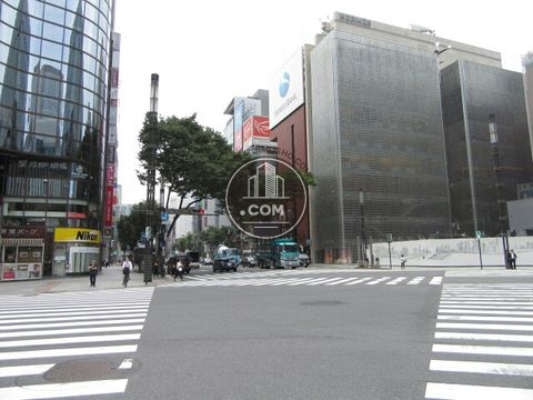 大通り