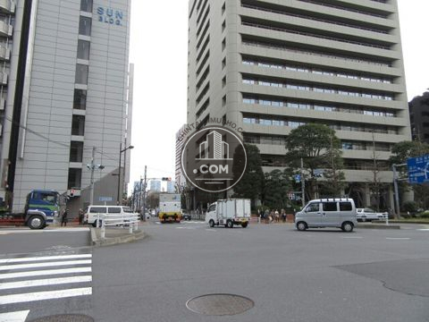 大通り