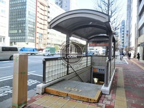 大通り