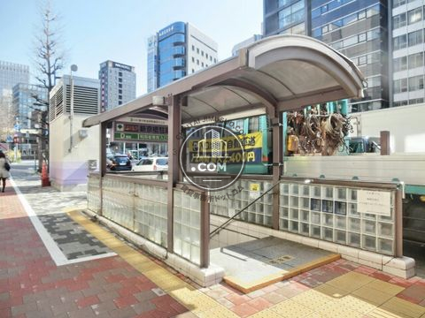 大通り