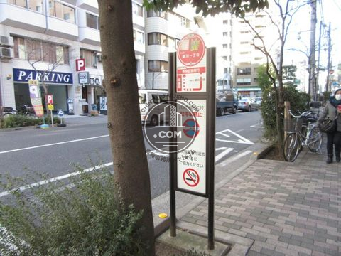 大通り