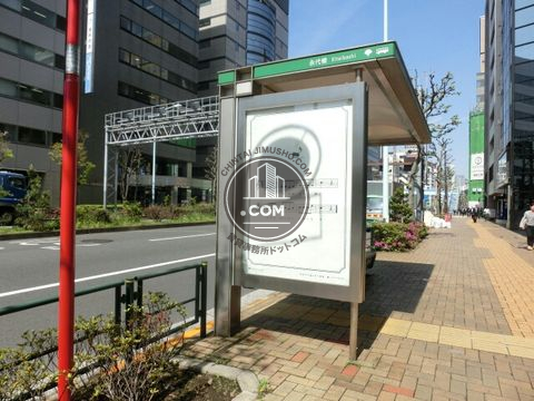 大通り