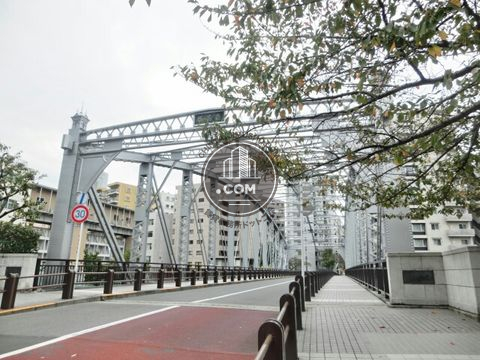 大通り