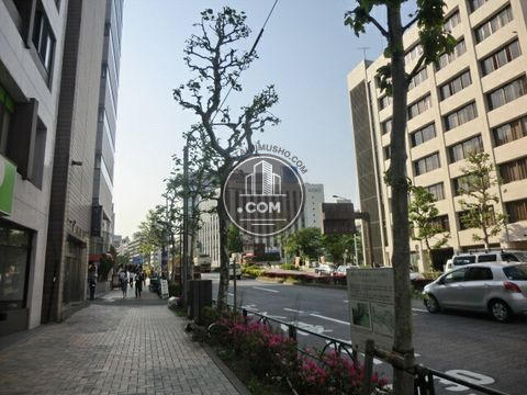 大通り