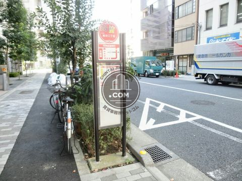 大通り
