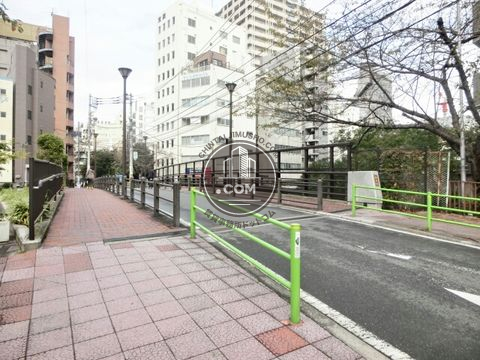 大通り