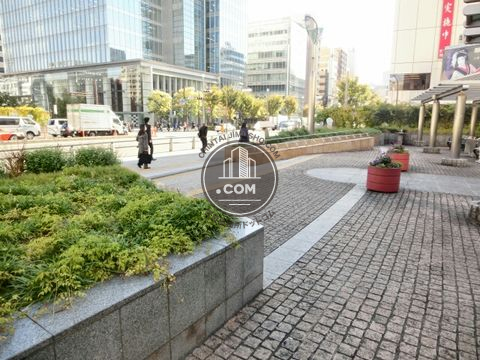大通り