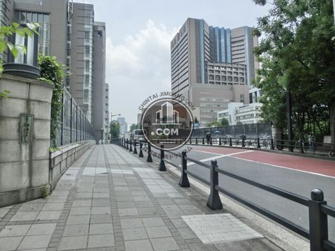 大通り