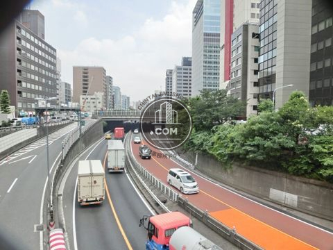 大通り