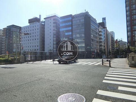 大通り