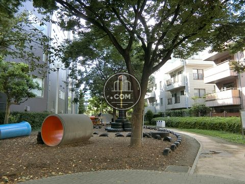 裏路地