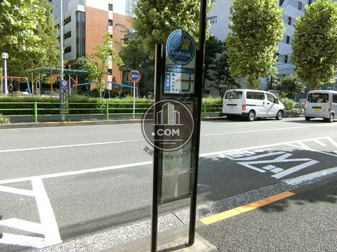 大通り
