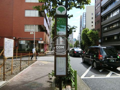 大通り