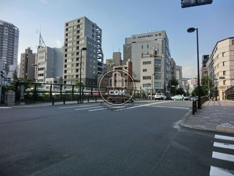 大通り