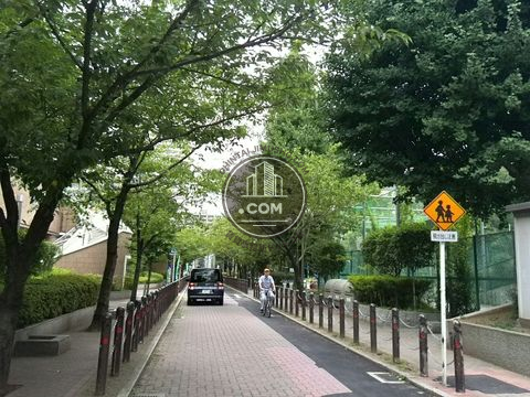裏路地