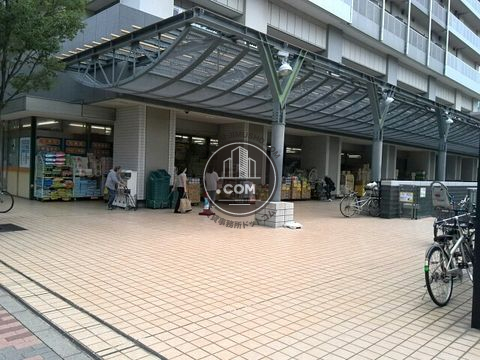 大通り